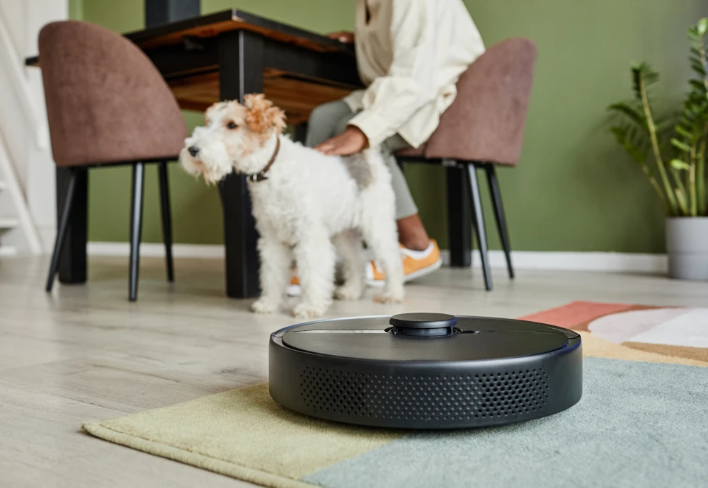 sweeping robot intelligent vacuum cleaner